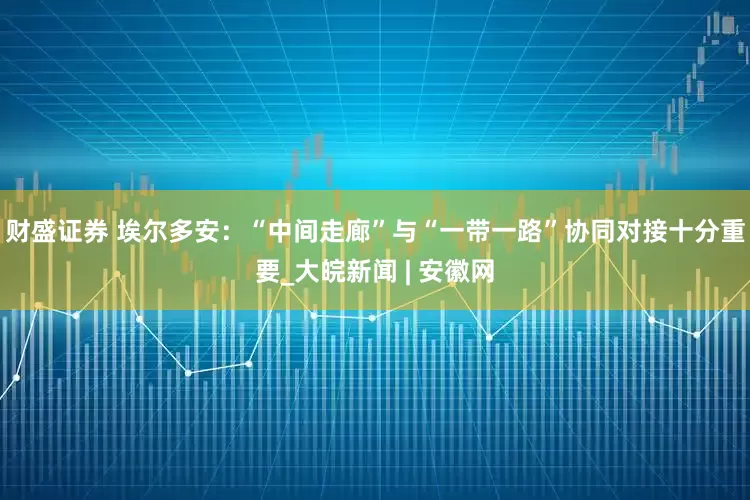 财盛证券 埃尔多安：“中间走廊”与“一带一路”协同对接十分重要_大皖新闻 | 安徽网