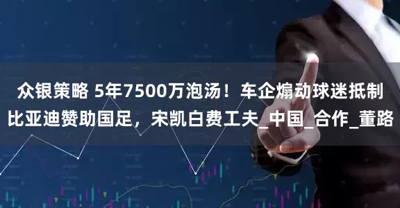众银策略 5年7500万泡汤！车企煽动球迷抵制比亚迪赞助国足，宋凯白费工夫_中国_合作_董路