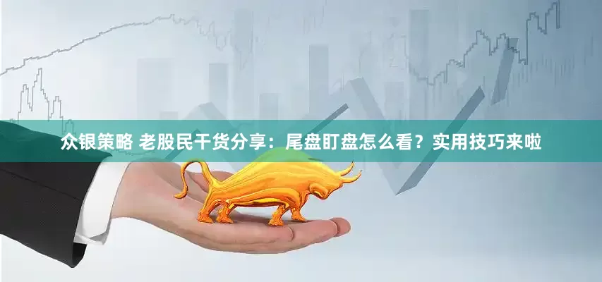 众银策略 老股民干货分享：尾盘盯盘怎么看？实用技巧来啦